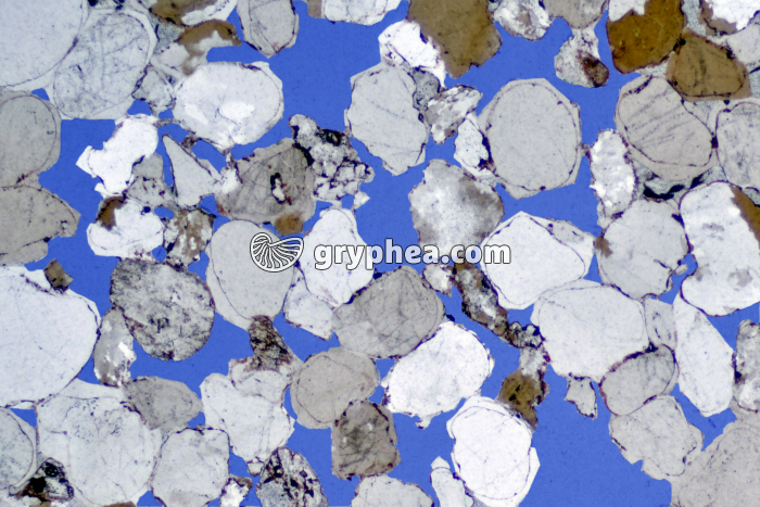 Grès et lacunes LPA x5 - gryphea.com